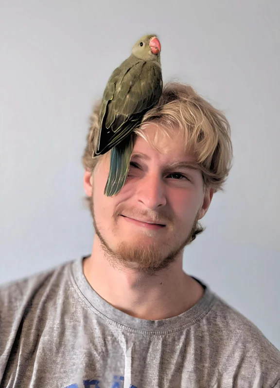 consultation services